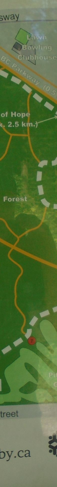 中央公园-本那比