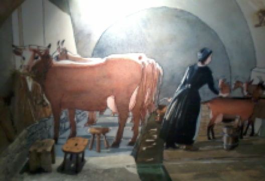 The Belleville Museum景点图片