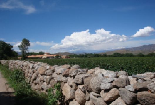 James Turrell Museum Hess Art Collection at Colome景点图片