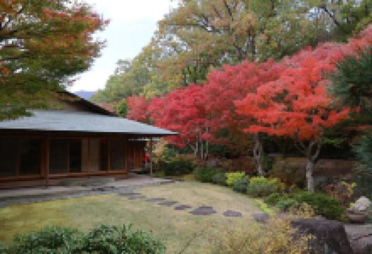北山綠化植物園景点图片