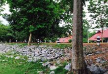 Jedkod-Pongkonsao Ecotourism and Environmental Education Center景点图片