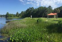 Wakulla River Park景点图片