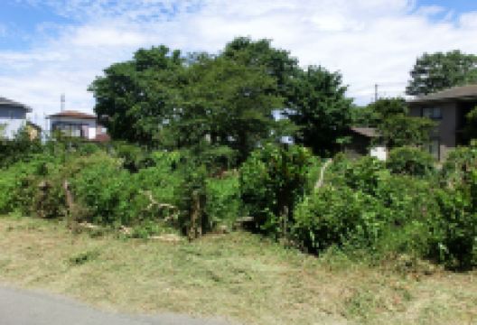 馬伏塚城跡景点图片