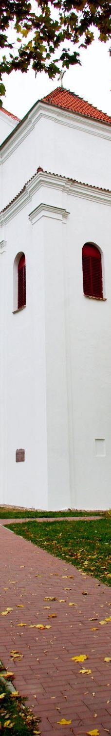 Catholic Cathedral of the Transfiguration-新格鲁多克