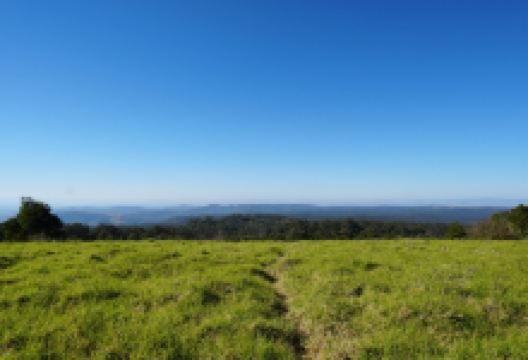 雷文斯本国家公园景点图片