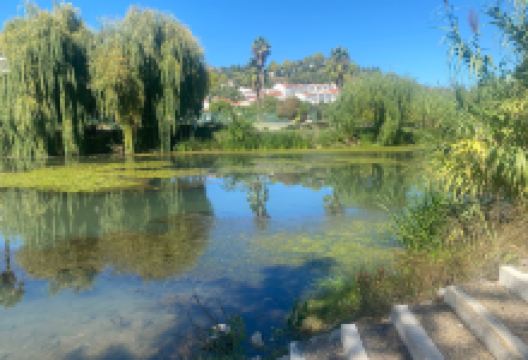 Rio Nabão Rio Nabao景点图片