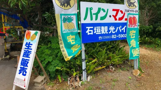 Ishigaki Kanko Pine Orchards