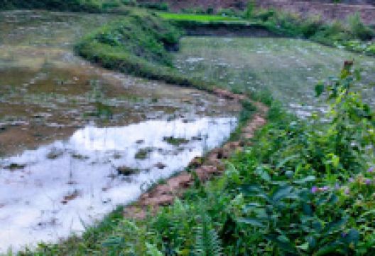 Hồ Câu Thanh Thịnh景点图片