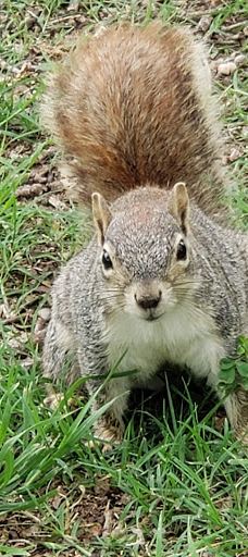 West City Park-矿泉井城