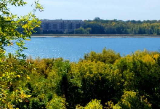 Carver Park Reserve Off-Leash Dog Park景点图片