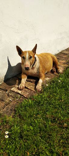 Meseház-贝凯什乔鲍伊区