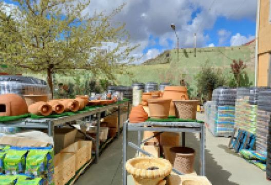 Rosa Garrido购物图片