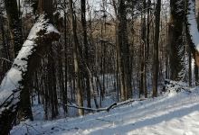 Vidzgirio pažintinis takas景点图片