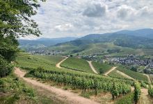 Durbach Aussicht景点图片