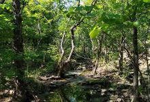 Badger Creek Trailhead景点图片
