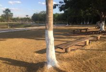 Parque Ar Puro景点图片