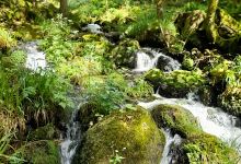 Cascade du Rudlin景点图片
