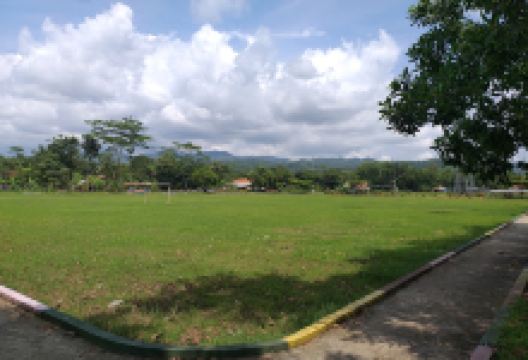 ALUN ALUN KALIBEJI景点图片