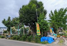 たんぽぽはうす购物图片