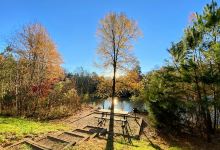 Dogwood Park at Wesley Chapel景点图片
