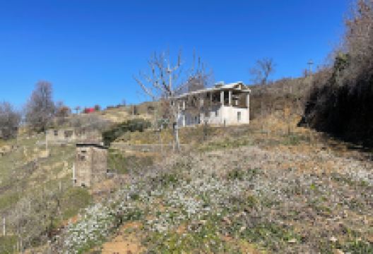 Golemaj center of the village景点图片