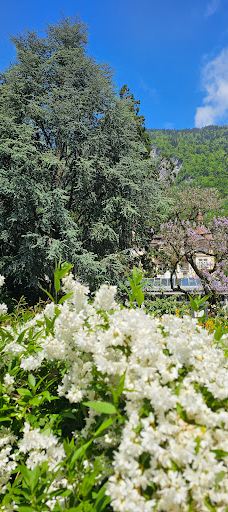 因特拉肯城堡-因特拉肯