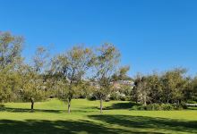 Brockwell Park景点图片
