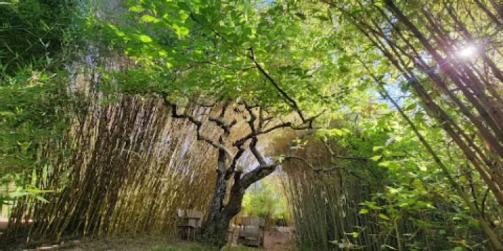 Bamboo Sourcery Nursery & Gardens