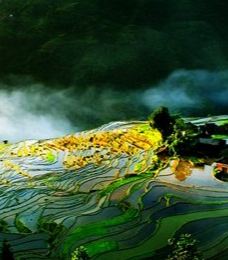 从江风景名胜区-从江