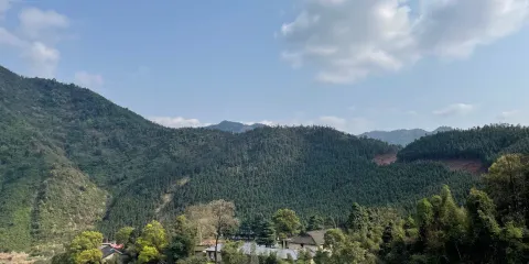 祁陽大江省級森林公園