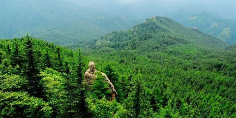 管涔山國家森林公園