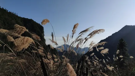 觀音巖