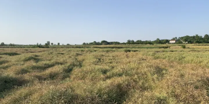 陳士榘將軍故居