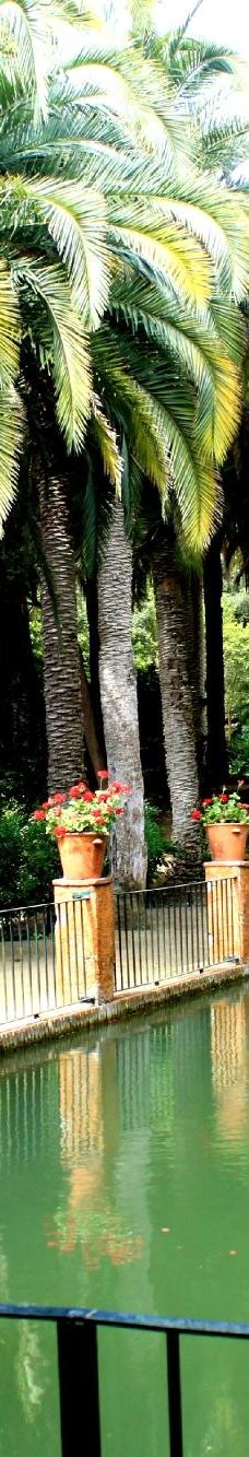 Jardí Botànic Tropical Paratge Pinya de Rosa-布拉内斯