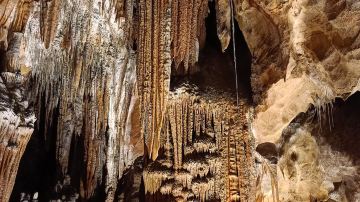 Mole Creek Caves