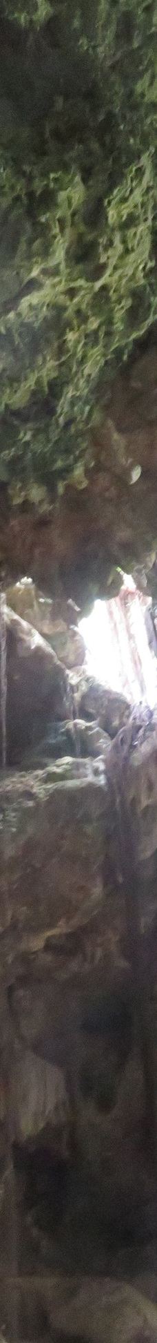 Grotte de Hortense-松树岛