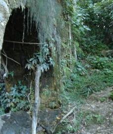 Tamasopo Falls-塔马索波