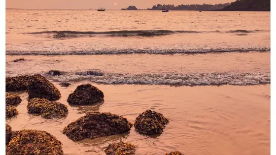 Vainguinim Beach