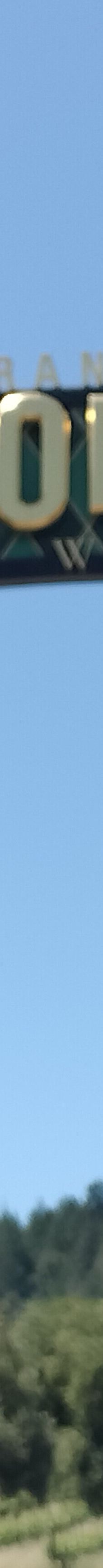 Francis Ford Coppola Winery-索诺马县