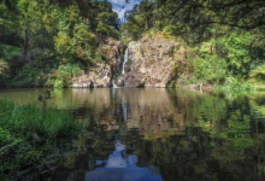 Te Maketu Waterfall景点图片