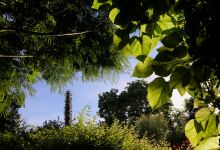 Jardin Intérieur à Ciel Ouvert景点图片