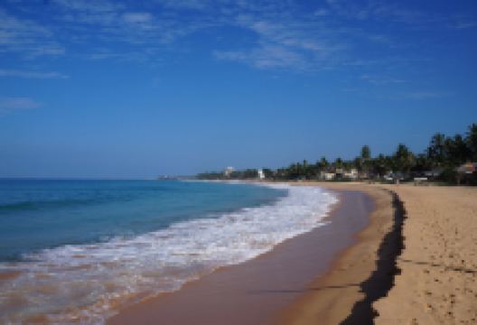 Narigama Beach景点图片