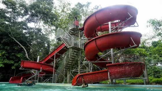Jungle Water World
