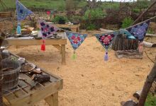 Pebble and Fern Market Garden购物图片