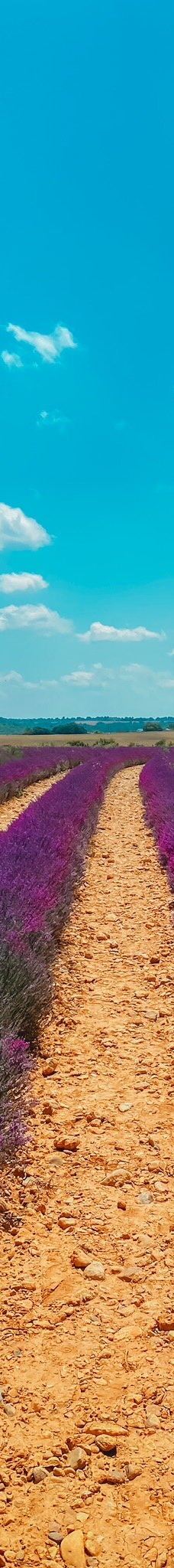 瓦朗索尔高原-瓦朗索勒