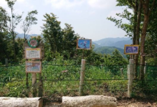Okikumatsu Monment景点图片