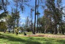 Pantai Muara景点图片