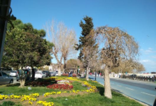 Yılmaz Kır Evi景点图片