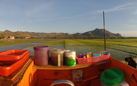 KOPI SAWAH SANGGRAHAN (Kawan Ngopi Kopling Aerox)