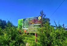 Park Krasnopol'skogo Leskhoza景点图片